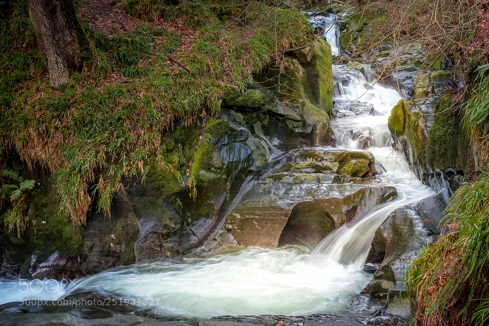 Fujifilm X-T2 sample photo. Ballaglass glen photography