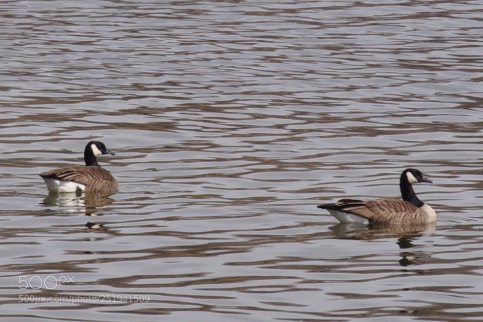 Nikon D5000 sample photo. New arrivals photography