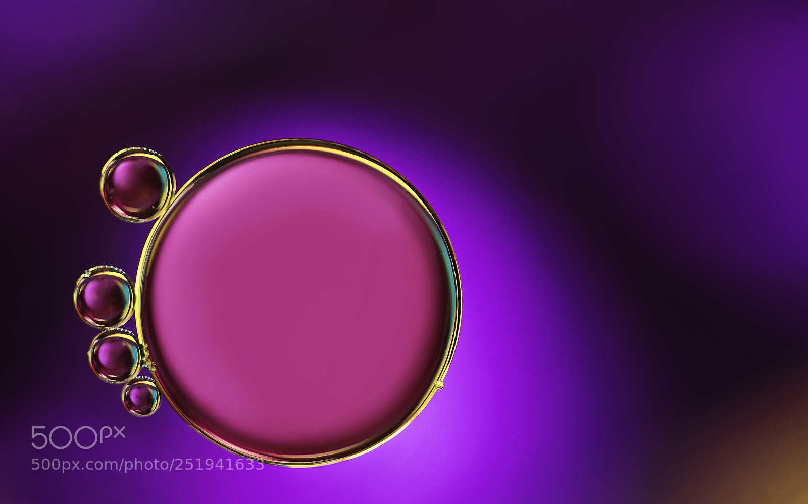 Nikon D500 sample photo. Purple in gold photography