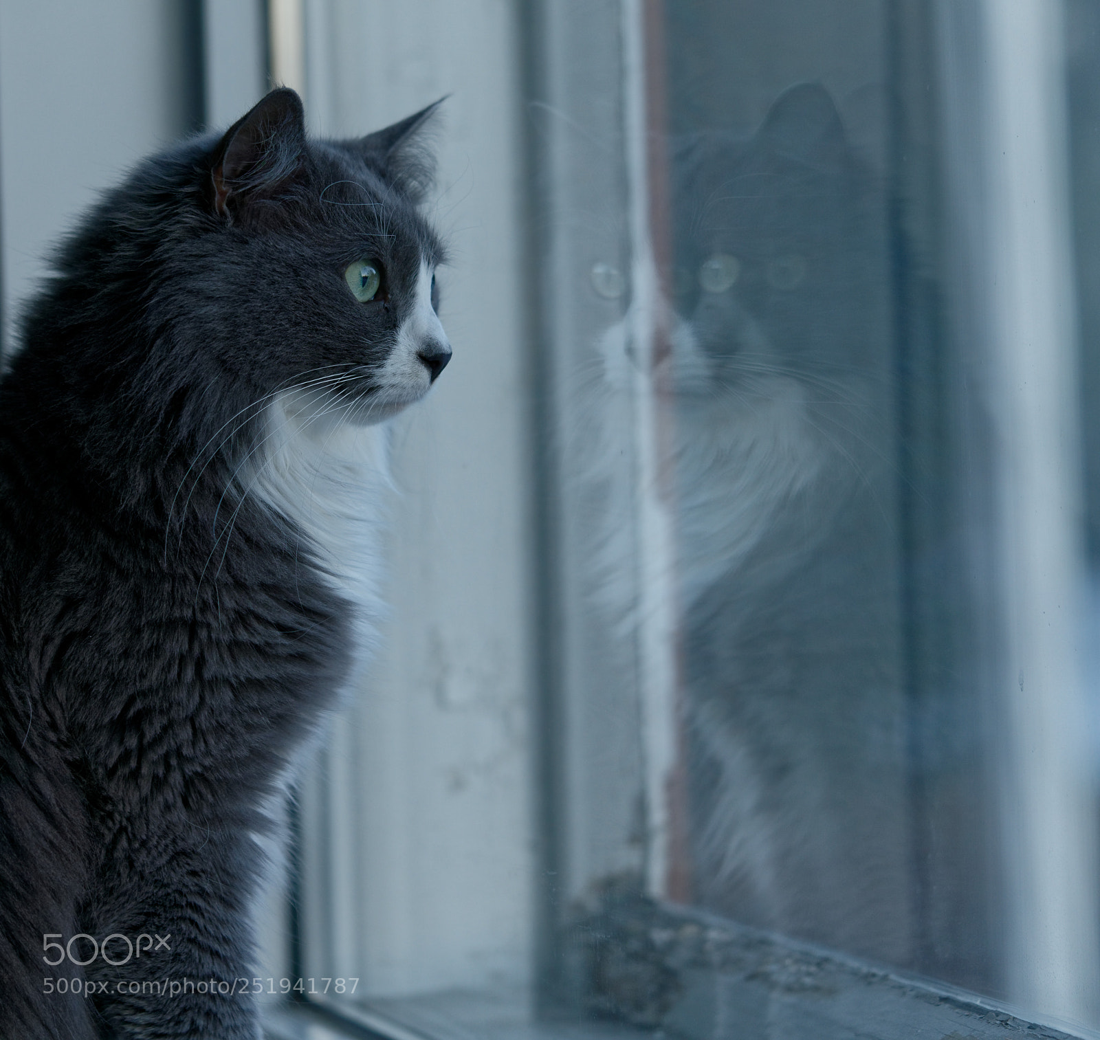 Sony a7R III sample photo. Reflection of mauri photography