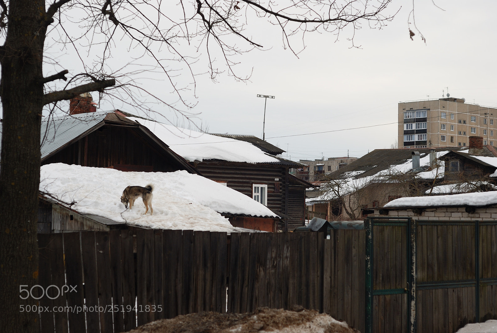 Nikon D80 sample photo. Весна photography