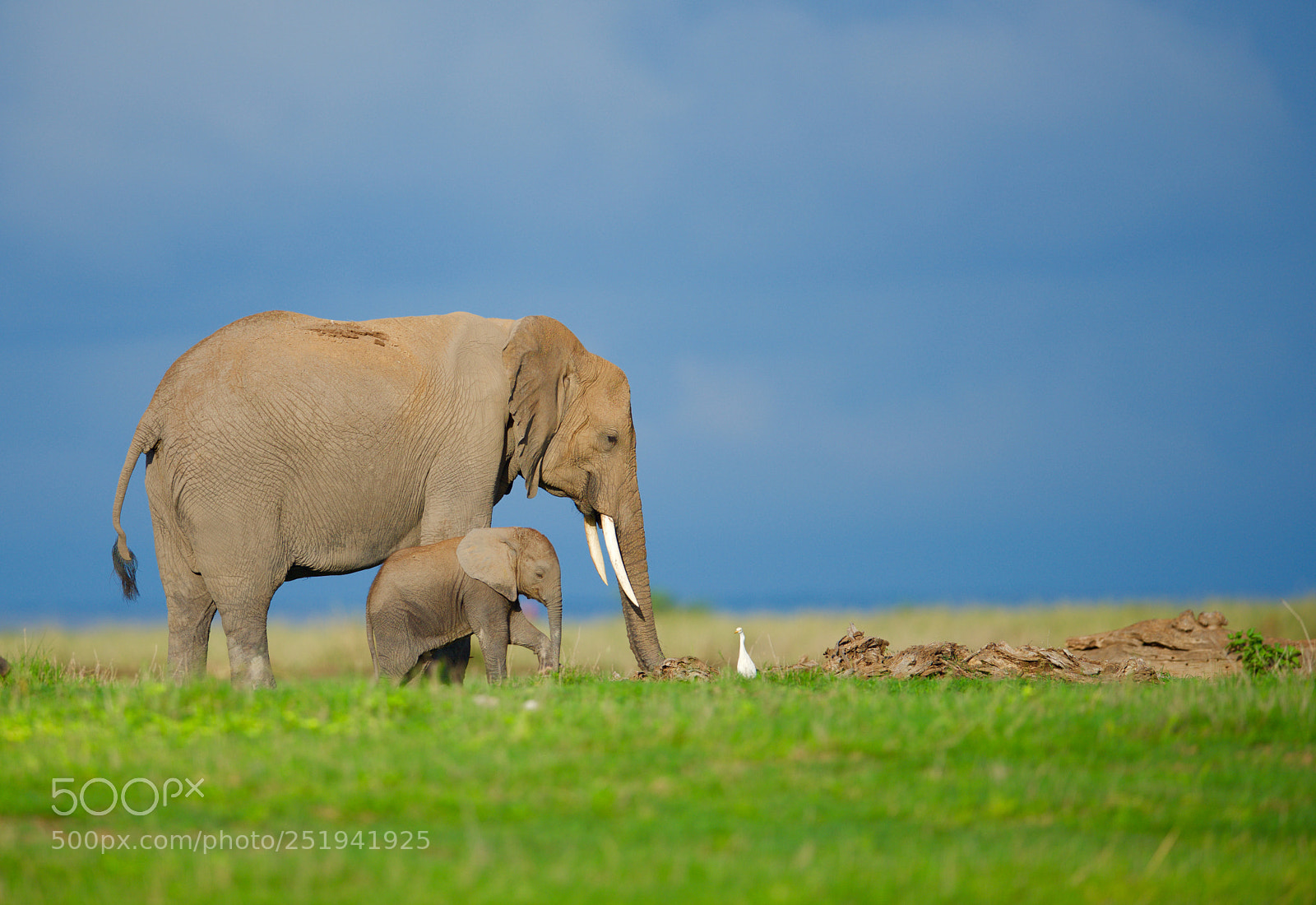 Nikon D810 sample photo. Version 2 photography