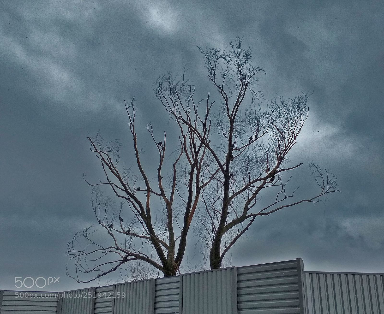 Xiaomi Redmi 4X sample photo. Waiting for a storm... photography
