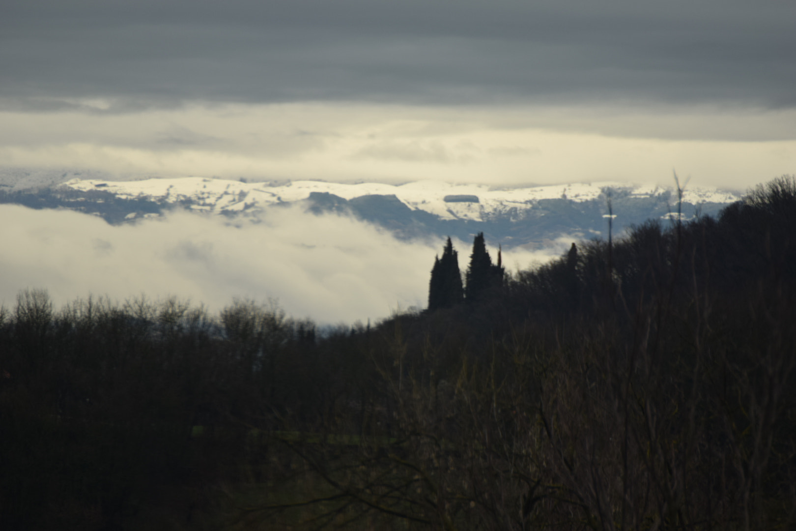 Nikon D5300 sample photo