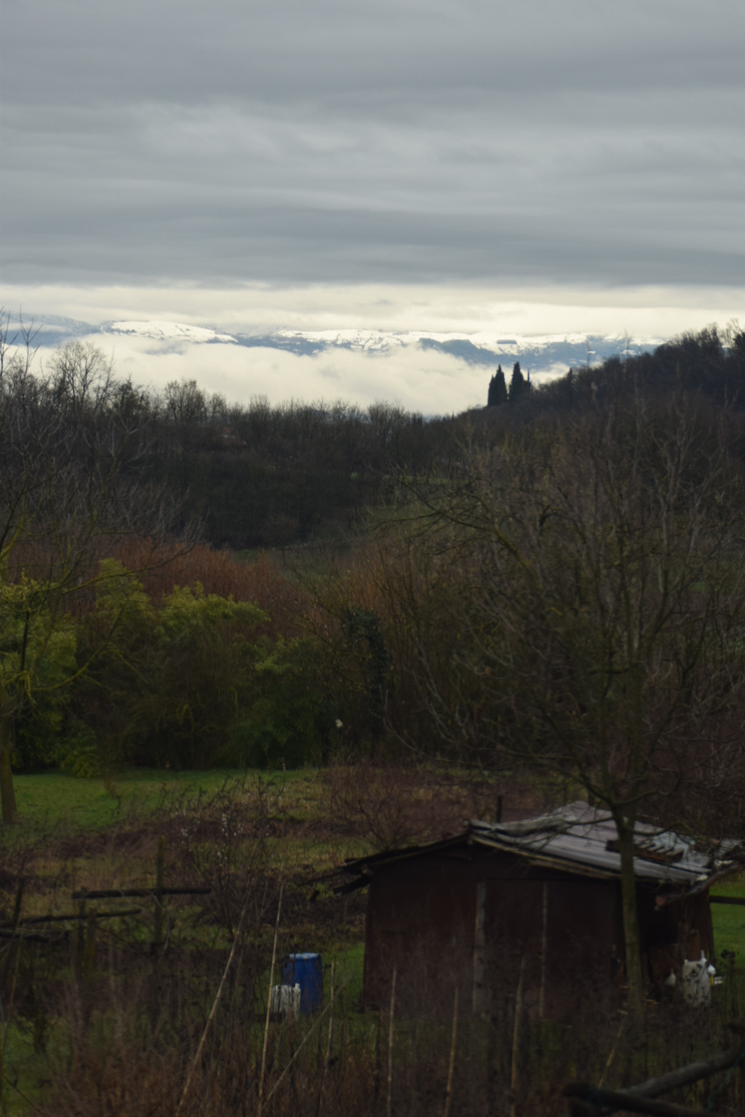Nikon D5300 sample photo