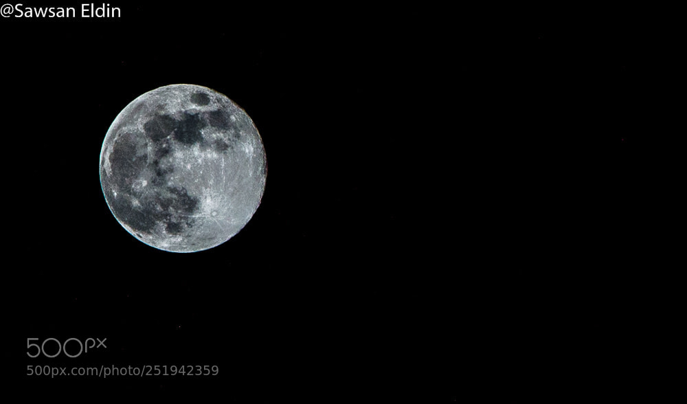 Canon EOS 70D sample photo. Untitled photography