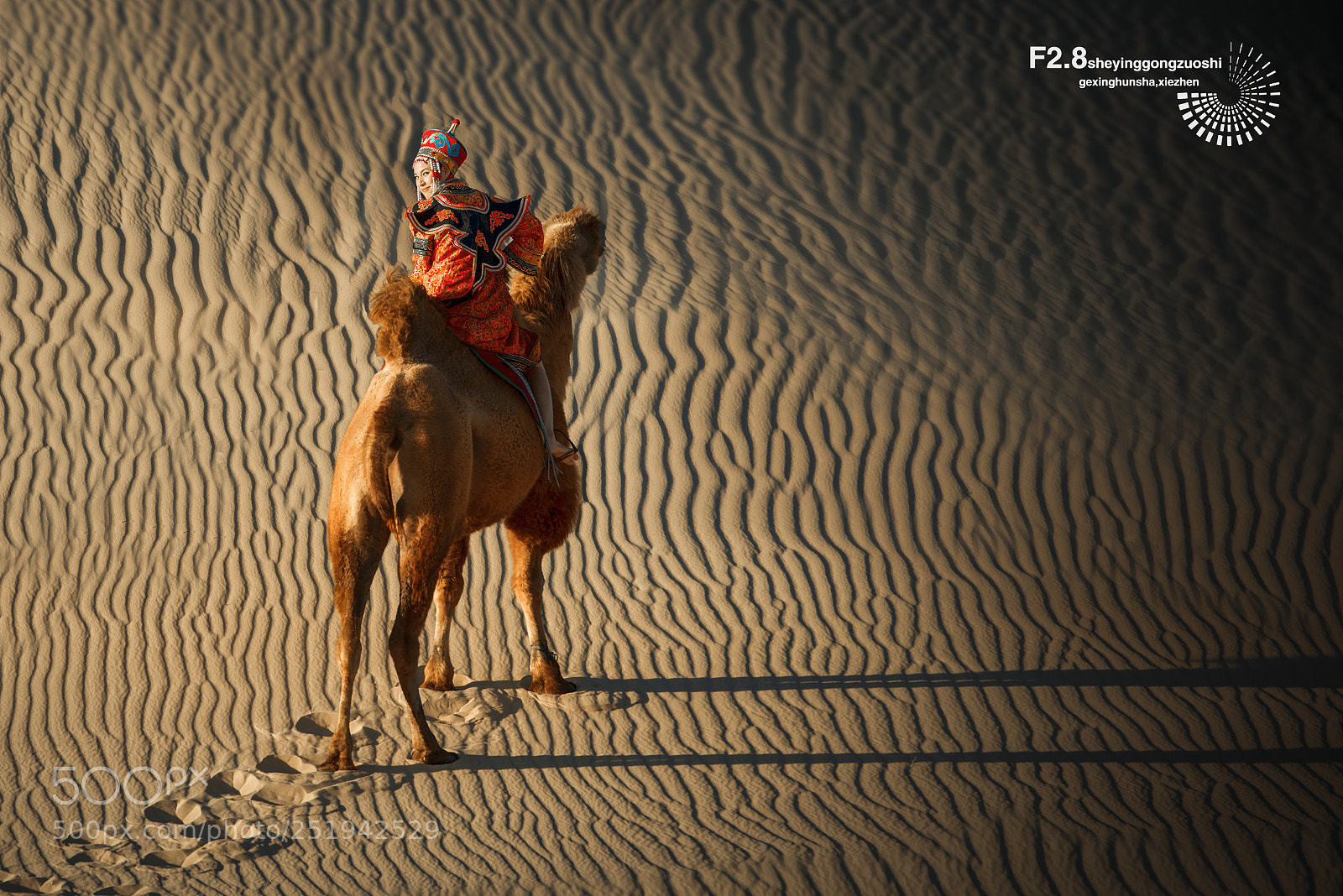 Nikon D800E sample photo. Jpg photography
