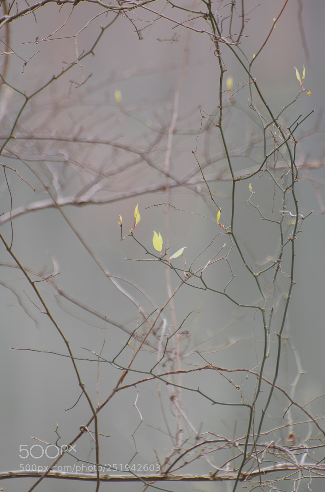 Nikon D7000 sample photo. Starting photography