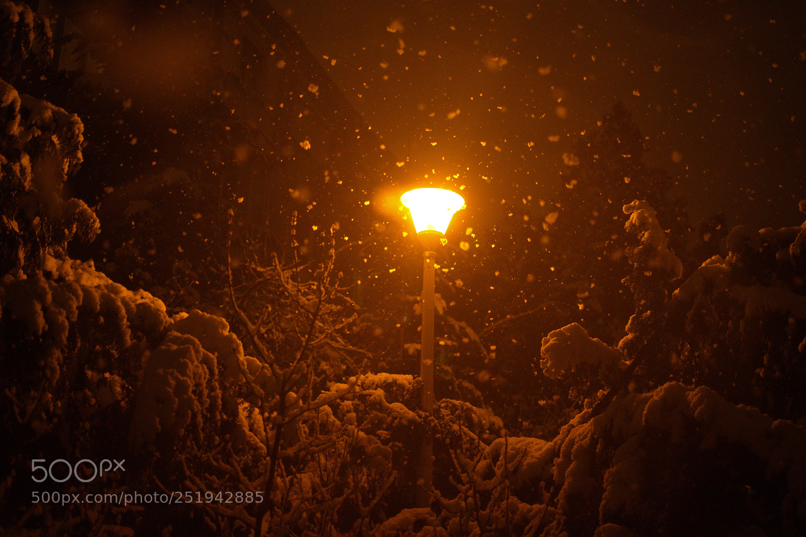 Nikon D7200 sample photo. Snowing around lamp photography