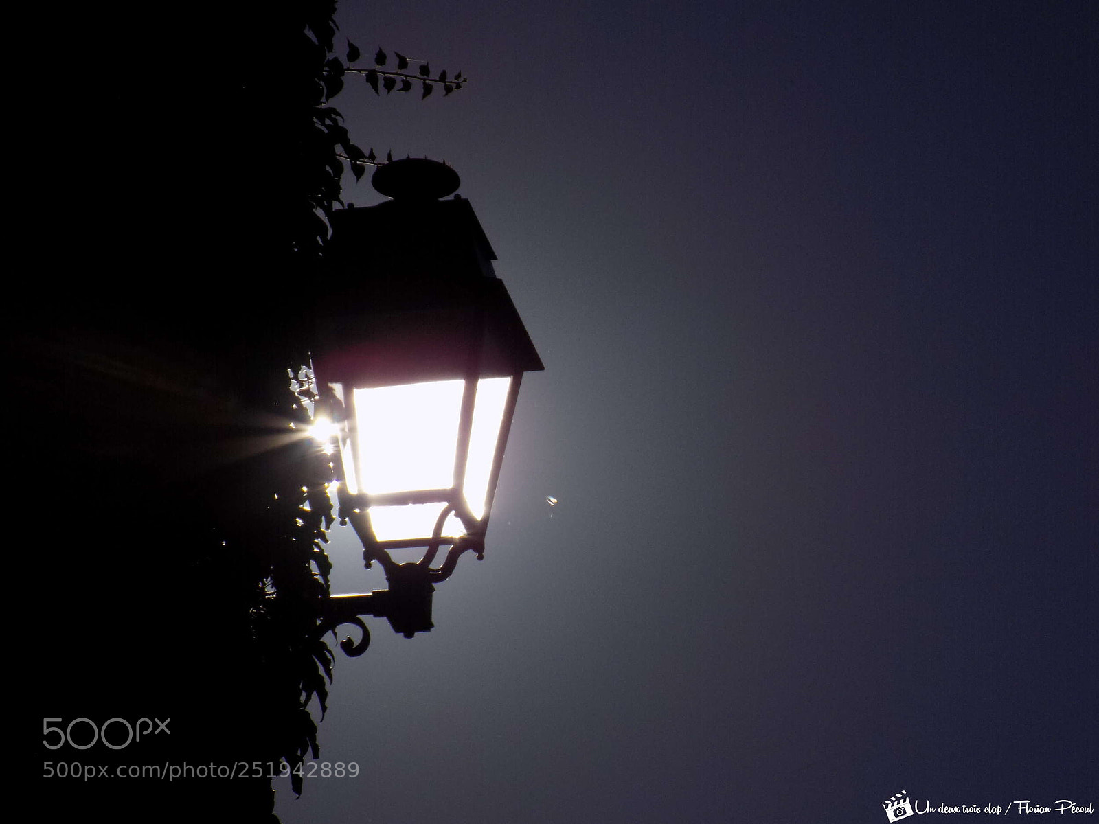 Nikon COOLPIX L330 sample photo. Moning sun lantern photography