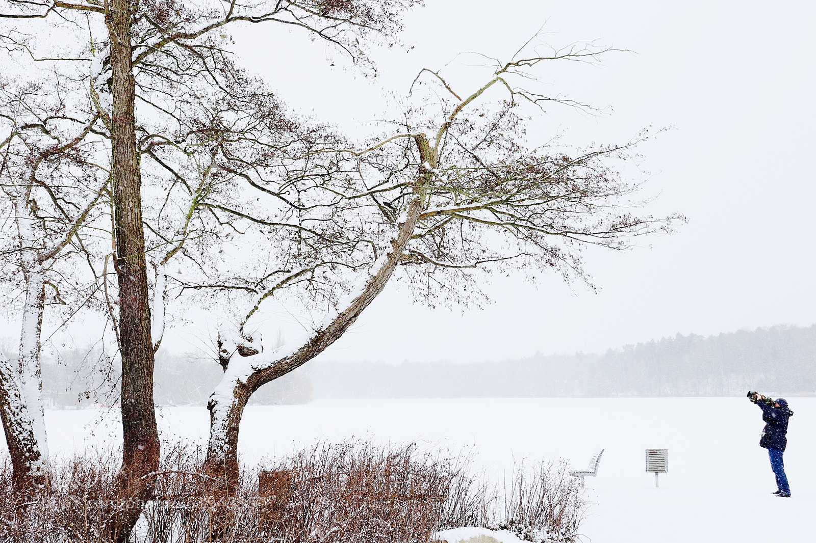 Canon EOS 800D (EOS Rebel T7i / EOS Kiss X9i) sample photo. 2018 snow in harburg photography