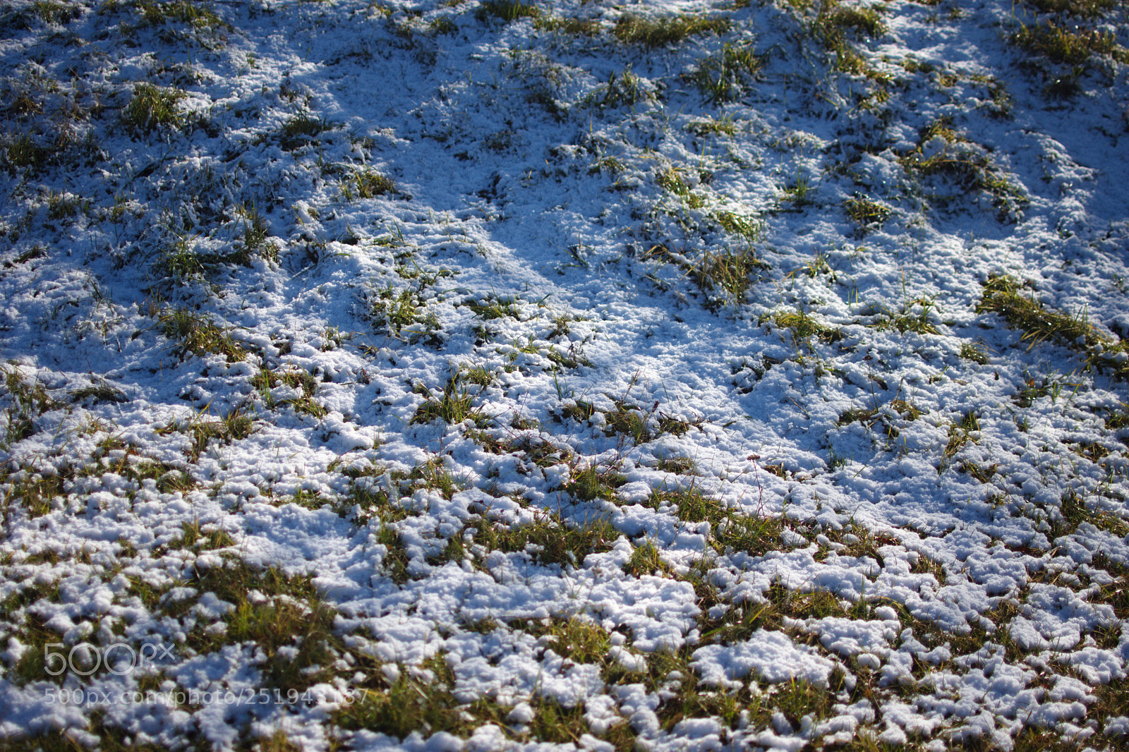 Nikon D7200 sample photo. Snow on grass photography