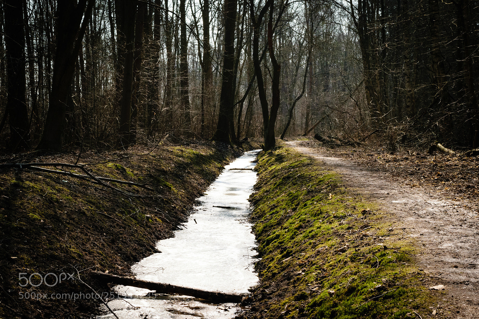 Nikon D5300 sample photo. Frozen stream photography