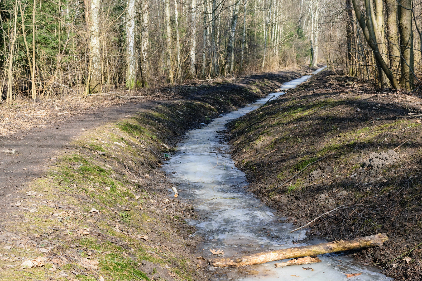 Nikon D5300 sample photo. Curvy path photography
