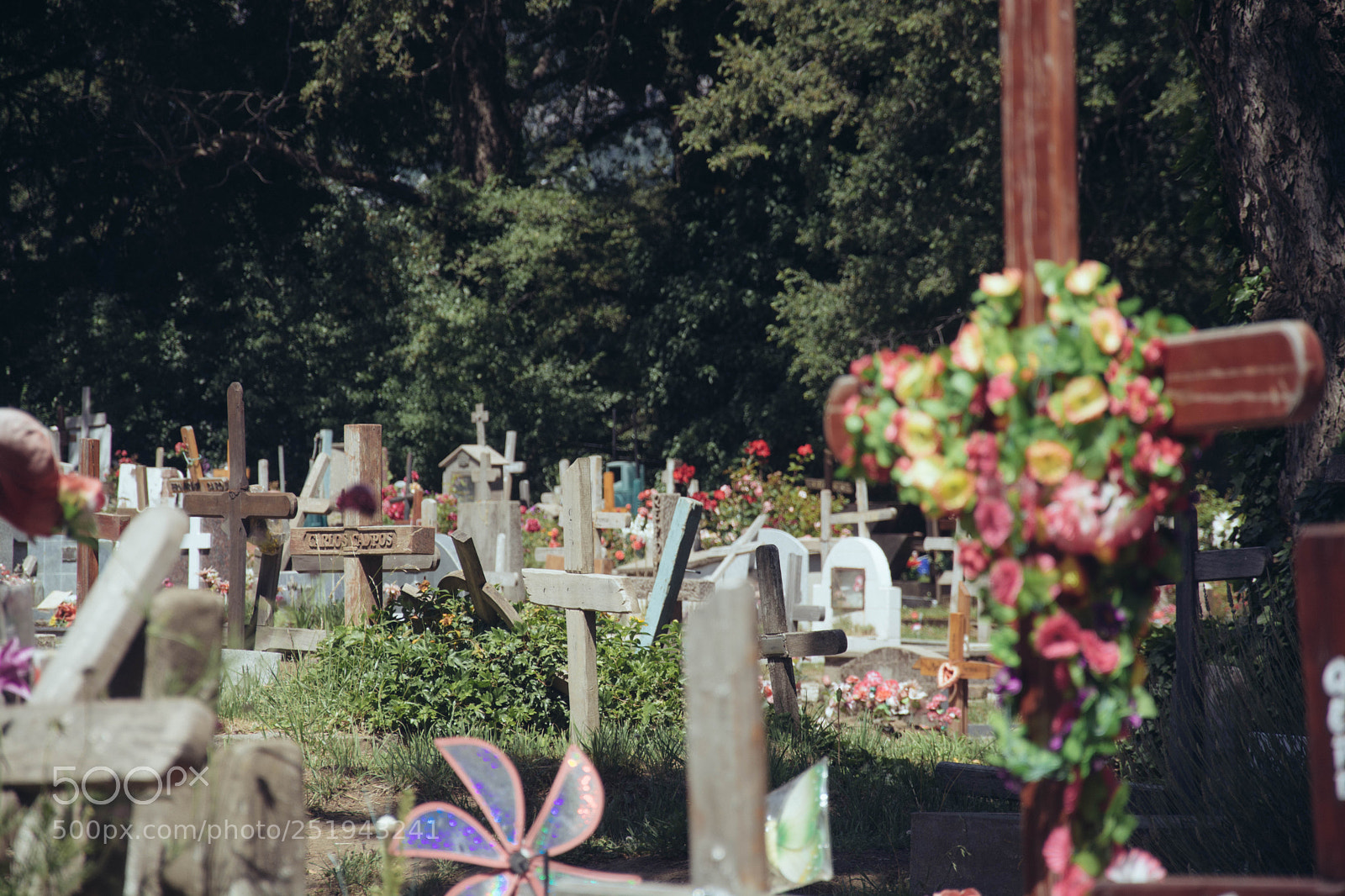 Nikon D7100 sample photo. Mat photography