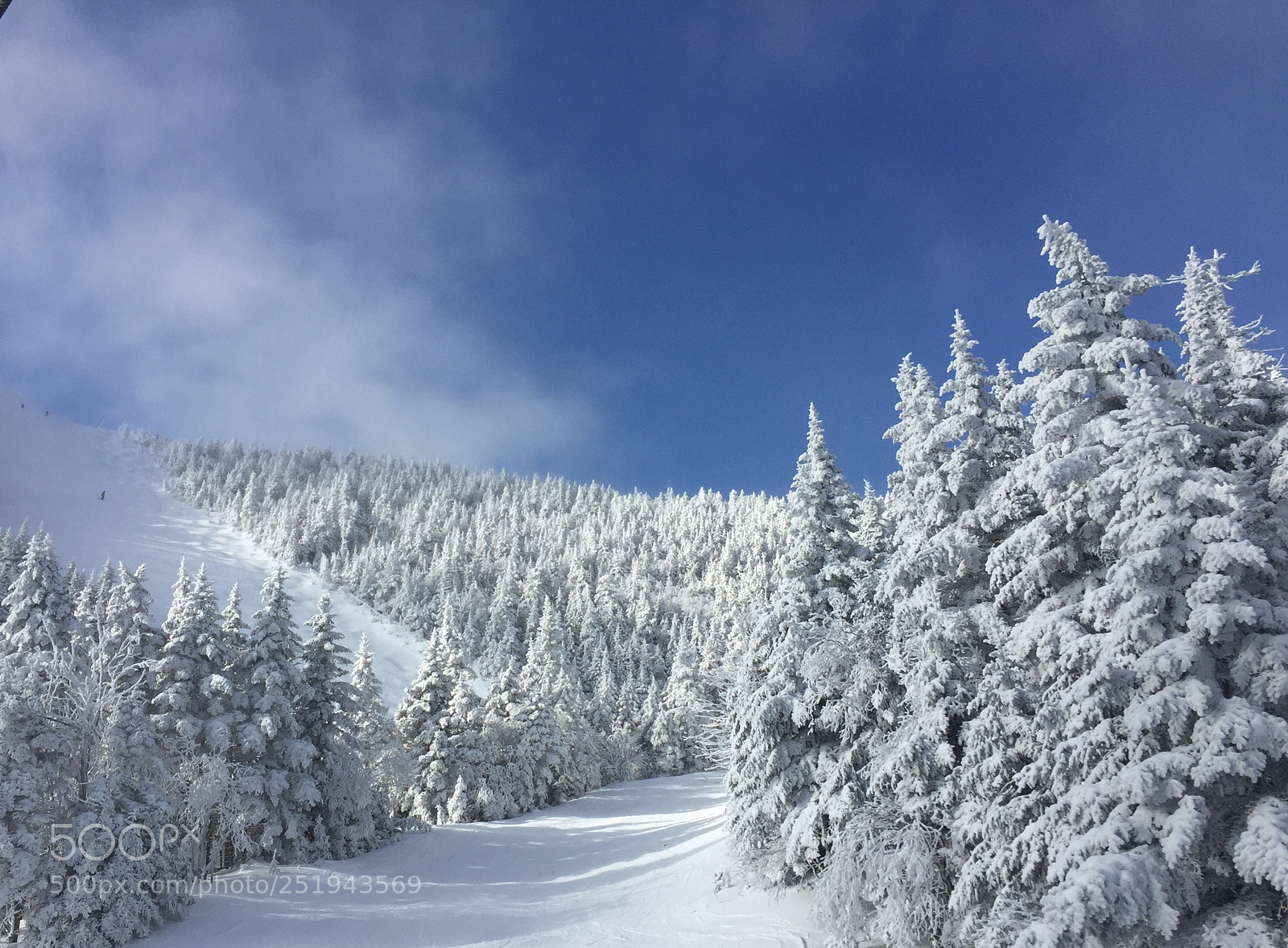 Apple iPhone 6 sample photo. Sugarbush  photography