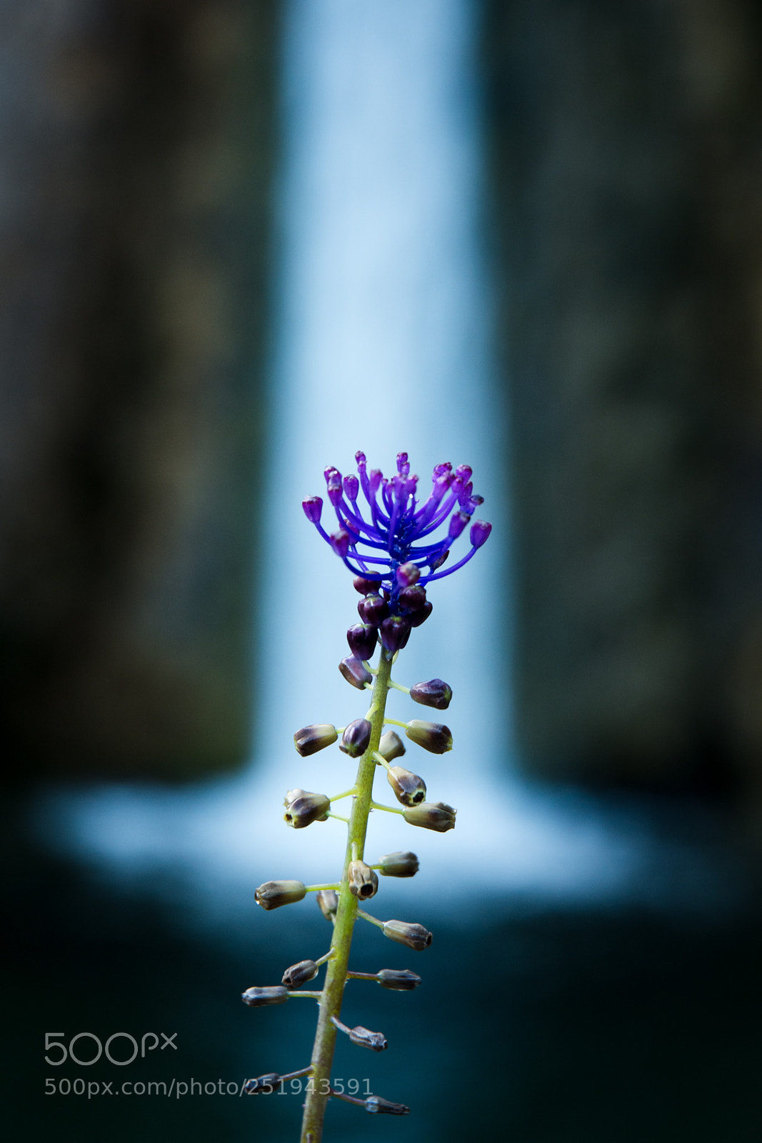Nikon D7200 sample photo. Untitled photography