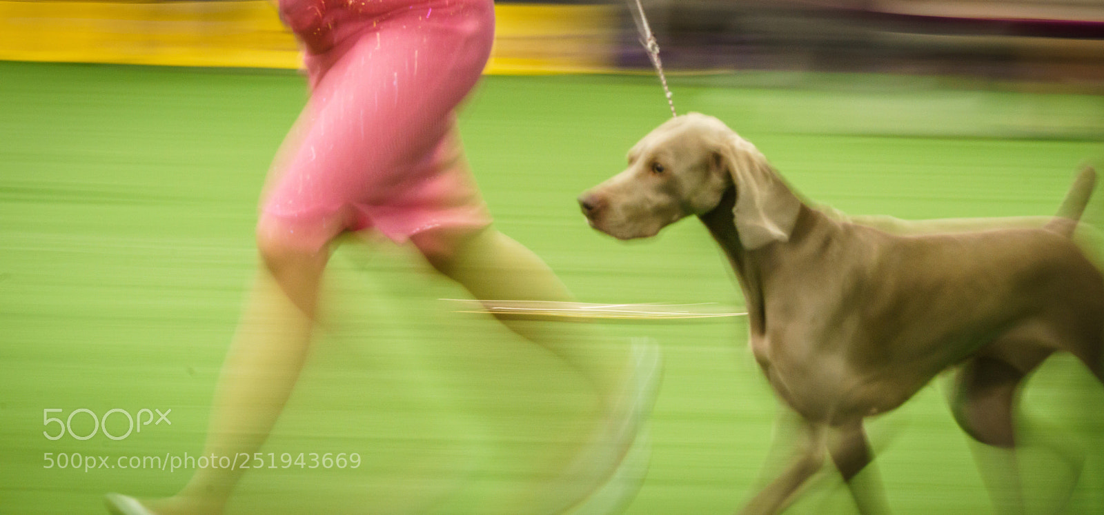 Sony a7R sample photo. Westminster  photography