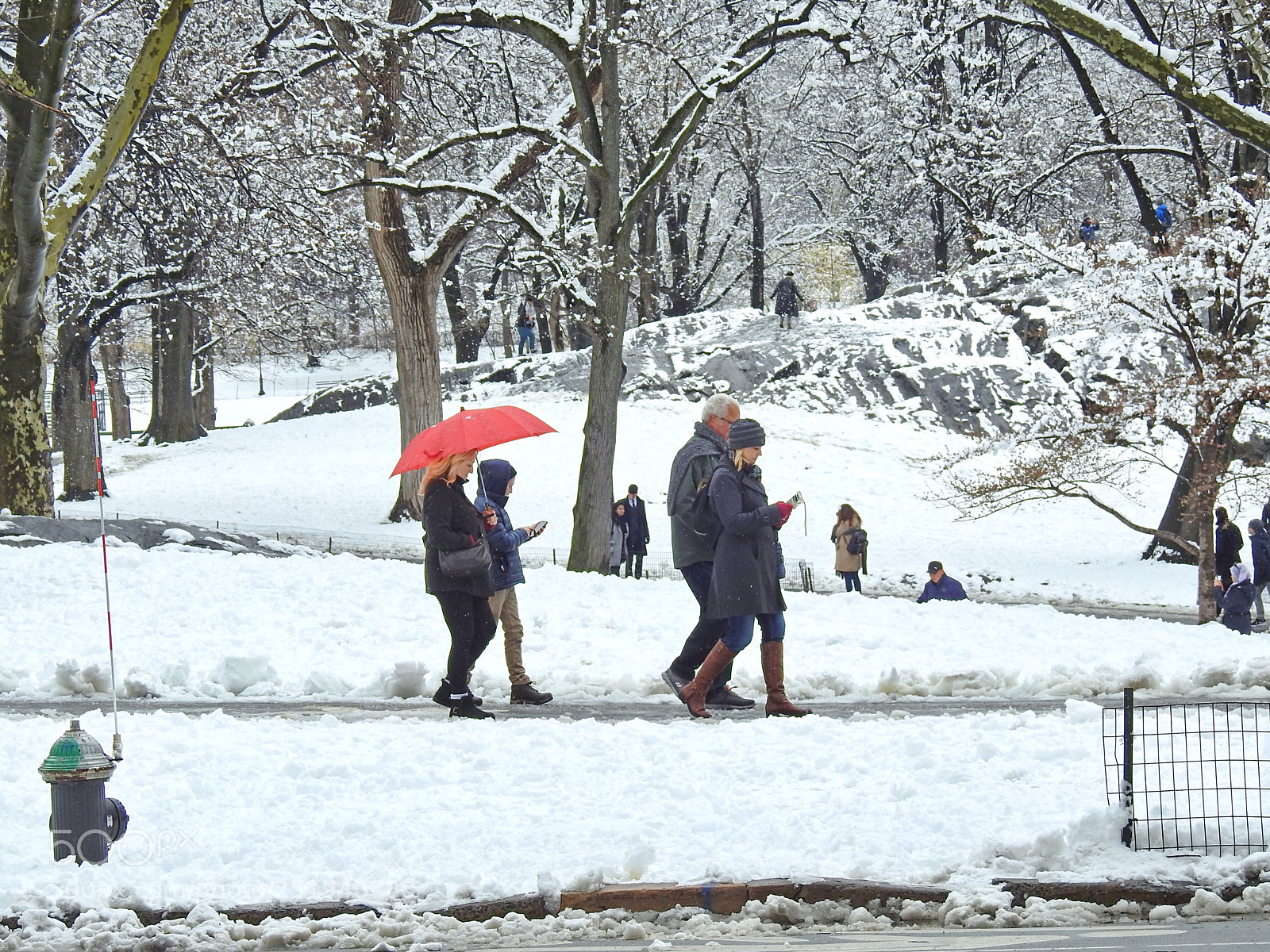 Nikon Coolpix P900 sample photo. Central park, today photography