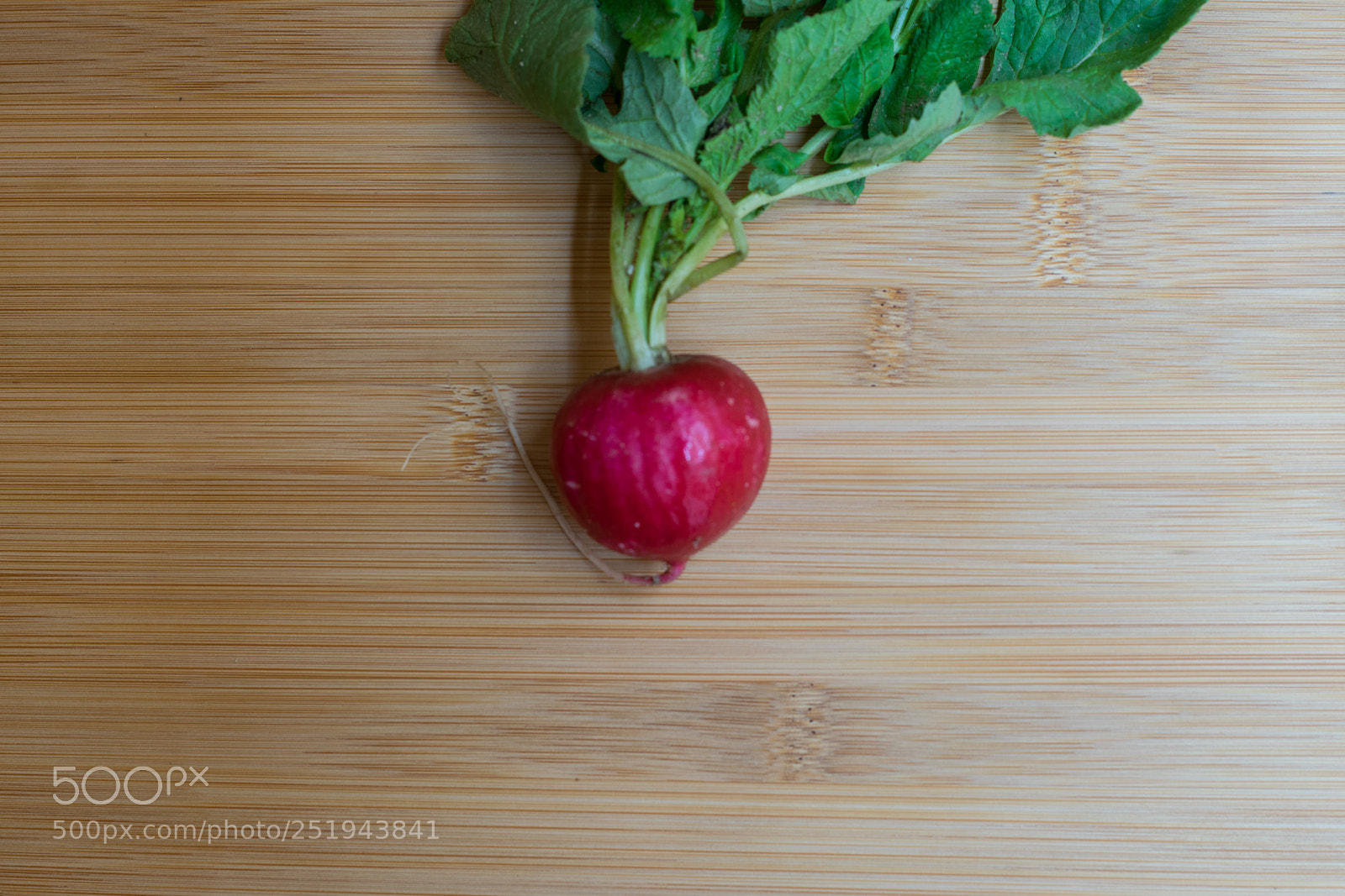 Nikon D5300 sample photo. The lone radish photography