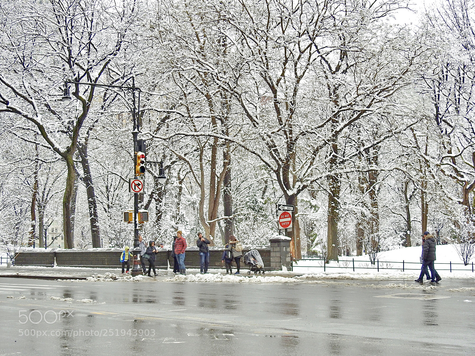 Nikon Coolpix P900 sample photo. Central park, today photography
