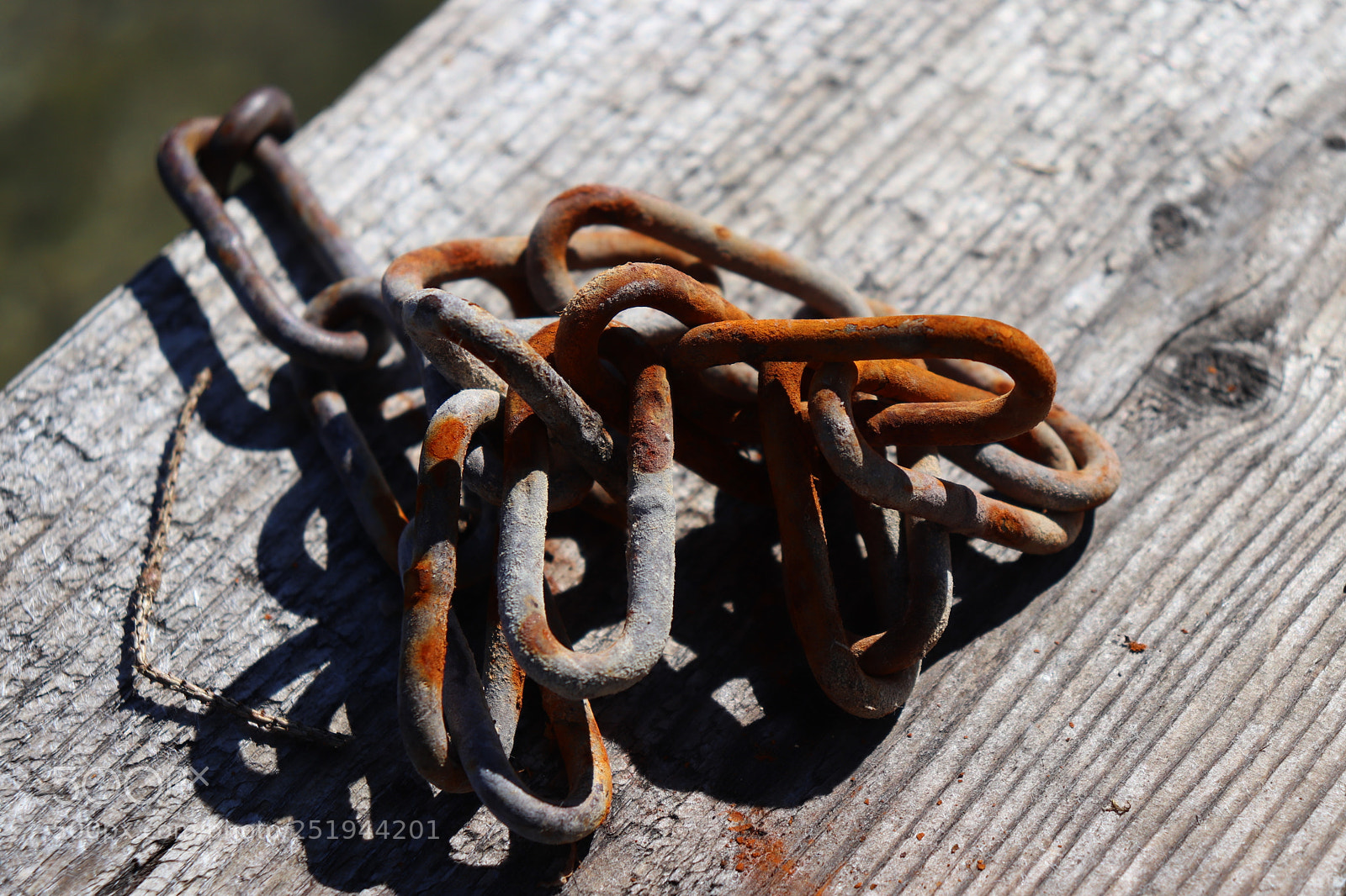 Canon EOS 200D (EOS Rebel SL2 / EOS Kiss X9) sample photo. Rusty photography