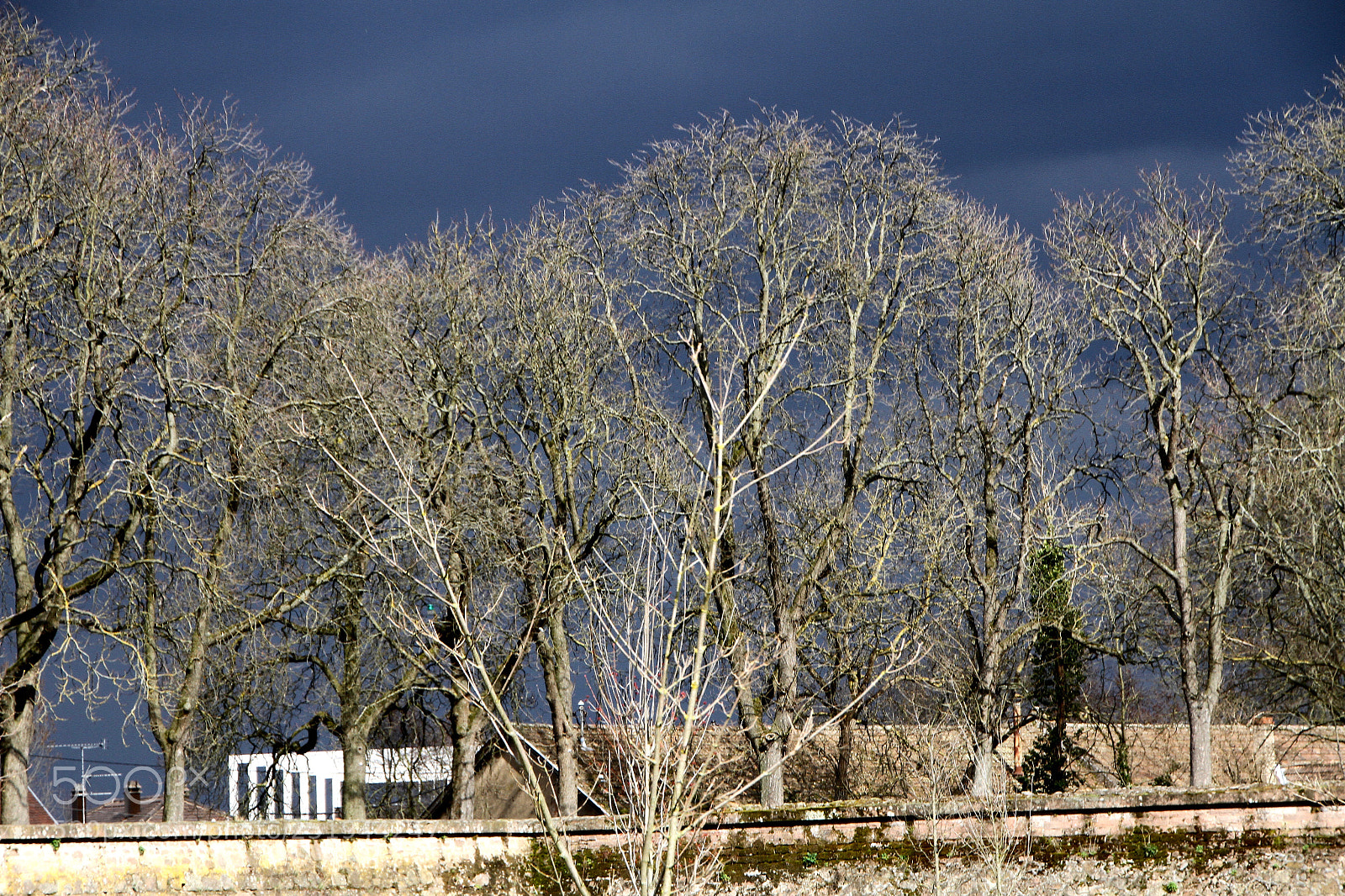 Canon EOS 7D sample photo. Strange day. photography