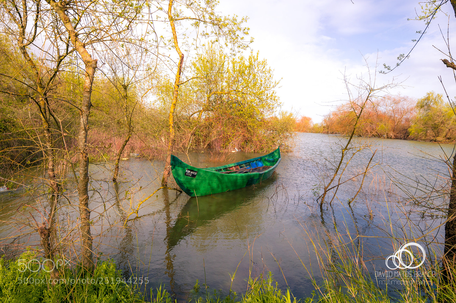 Nikon D3100 sample photo. Alviela boat photography