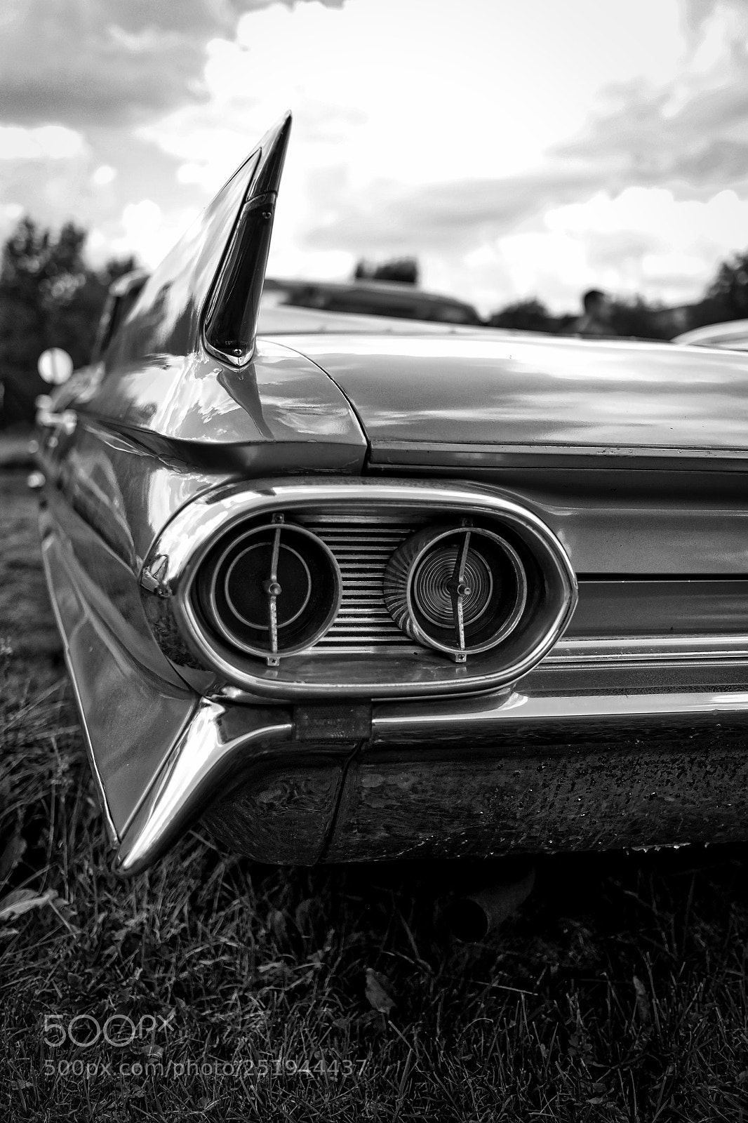 Fujifilm X-E2 sample photo. Wings photography