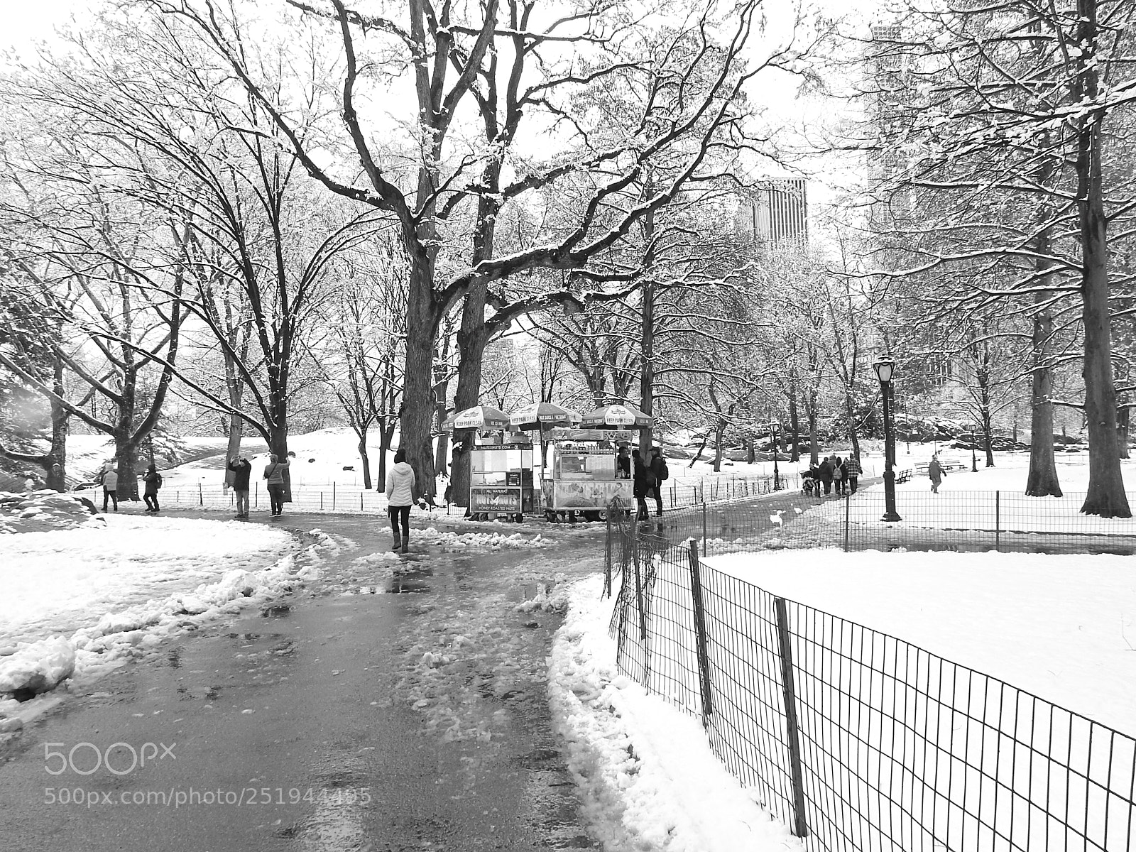 Nikon Coolpix P900 sample photo. Central park, today photography
