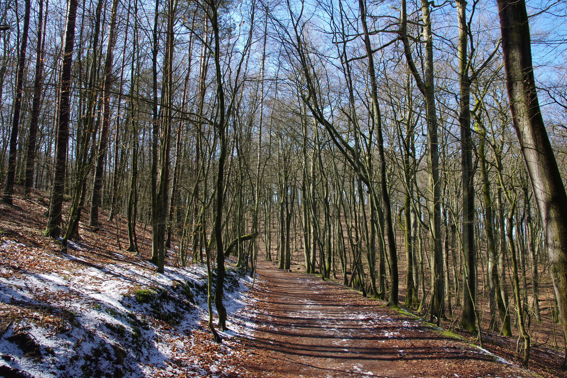 Pentax K-3 II sample photo. Near miedzyzdroje, poland photography