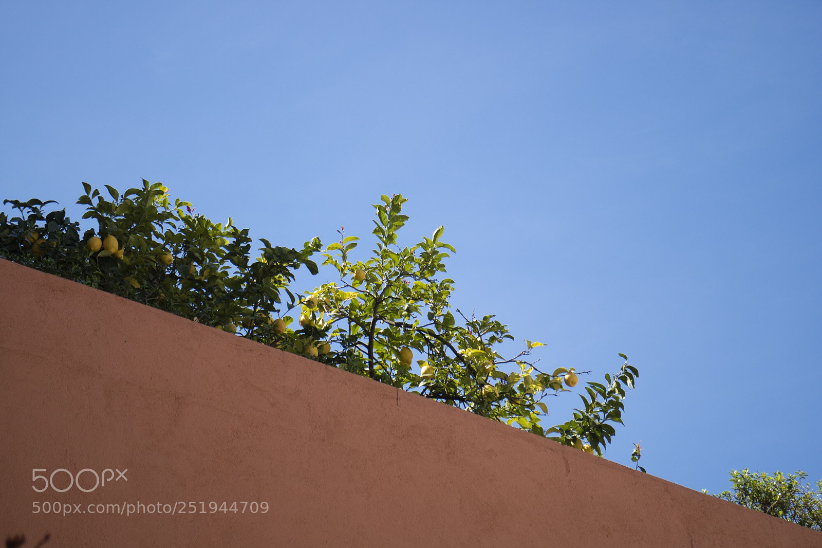 Canon EOS M3 sample photo. Yellow dots in lisbon photography