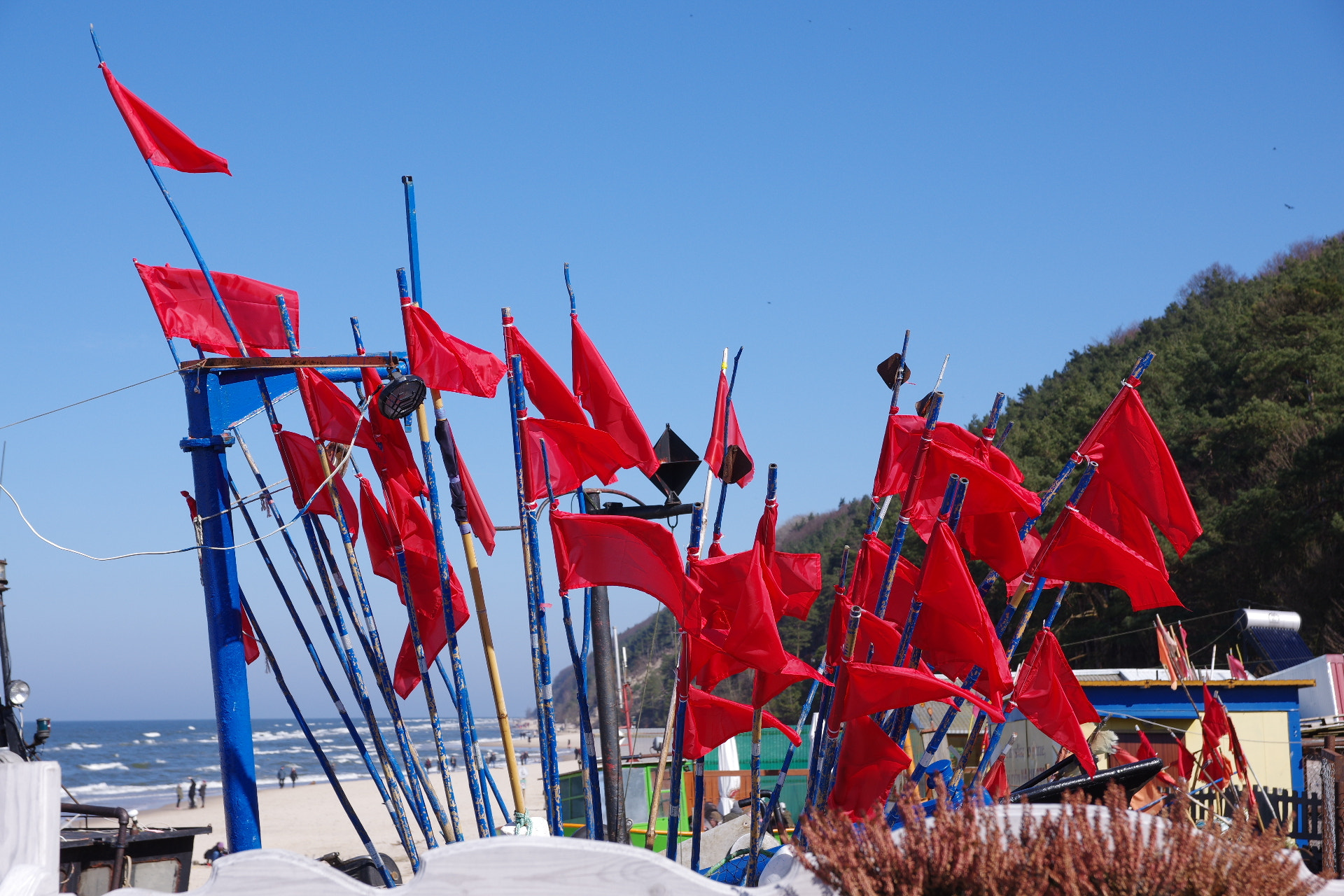 Pentax K-3 II sample photo. The flags photography