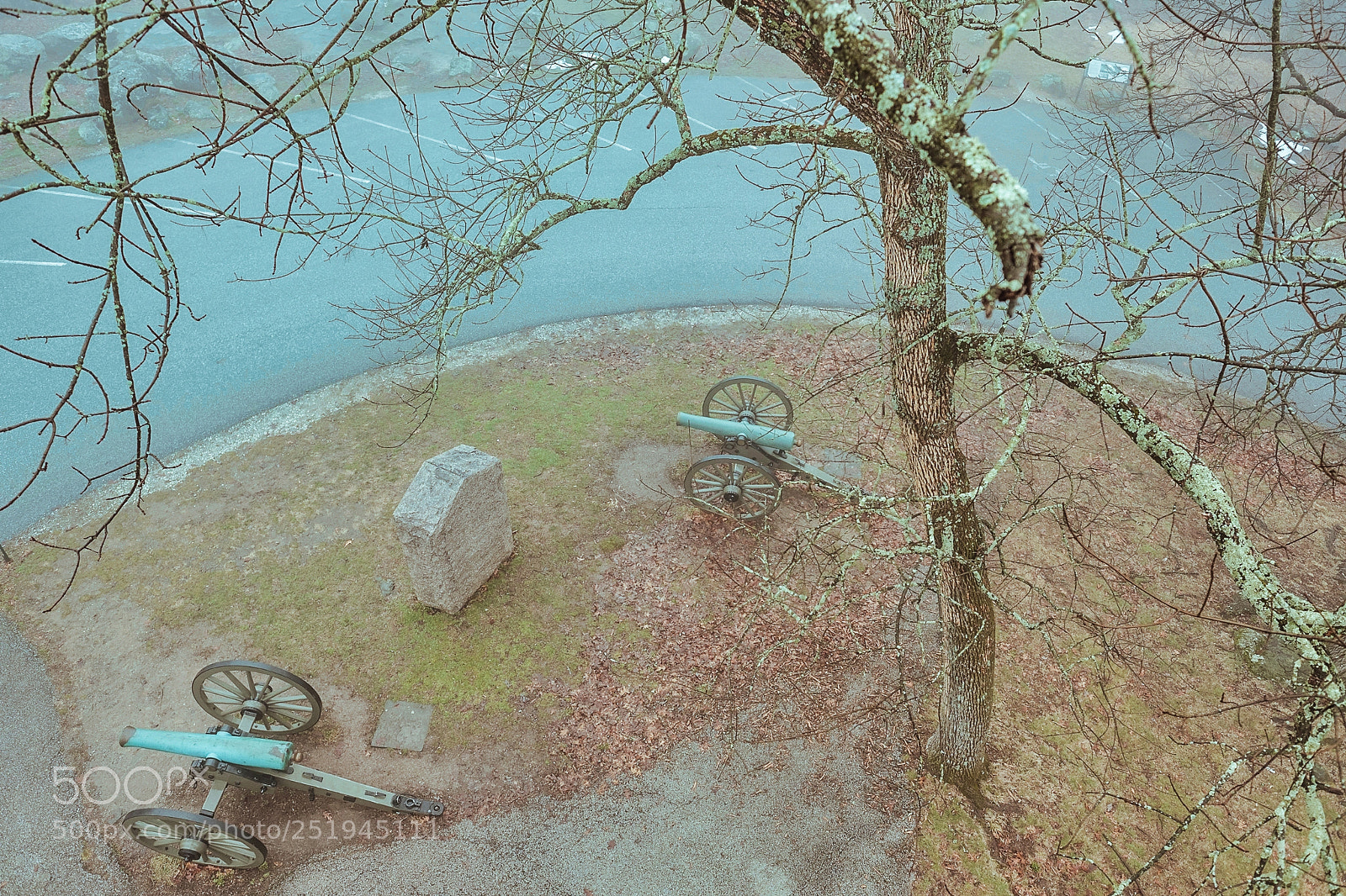 Fujifilm X-T2 sample photo. Cannons under tree photography