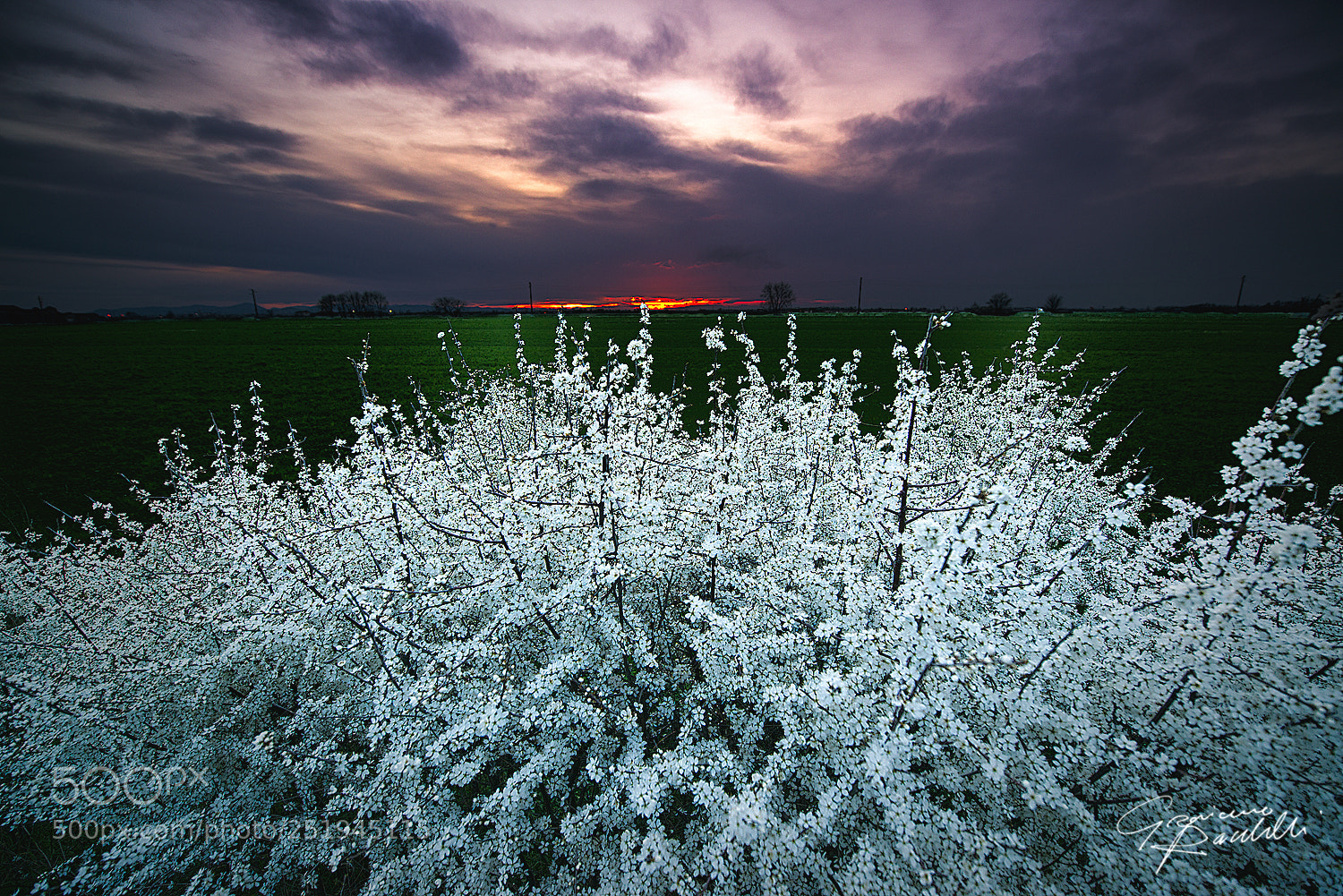 Nikon D800 sample photo. *** photography