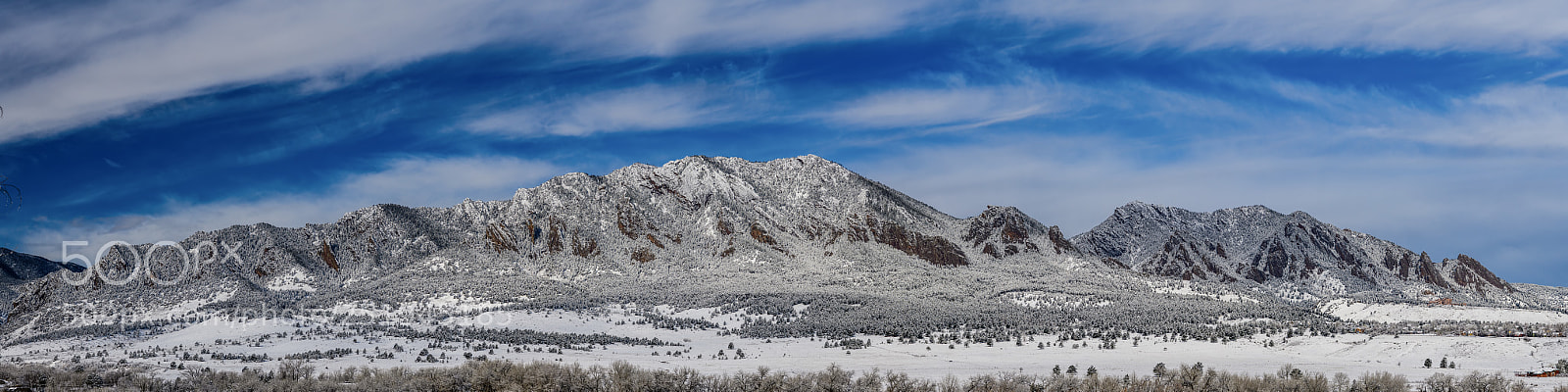 Nikon D850 sample photo. Spring snowstorm photography
