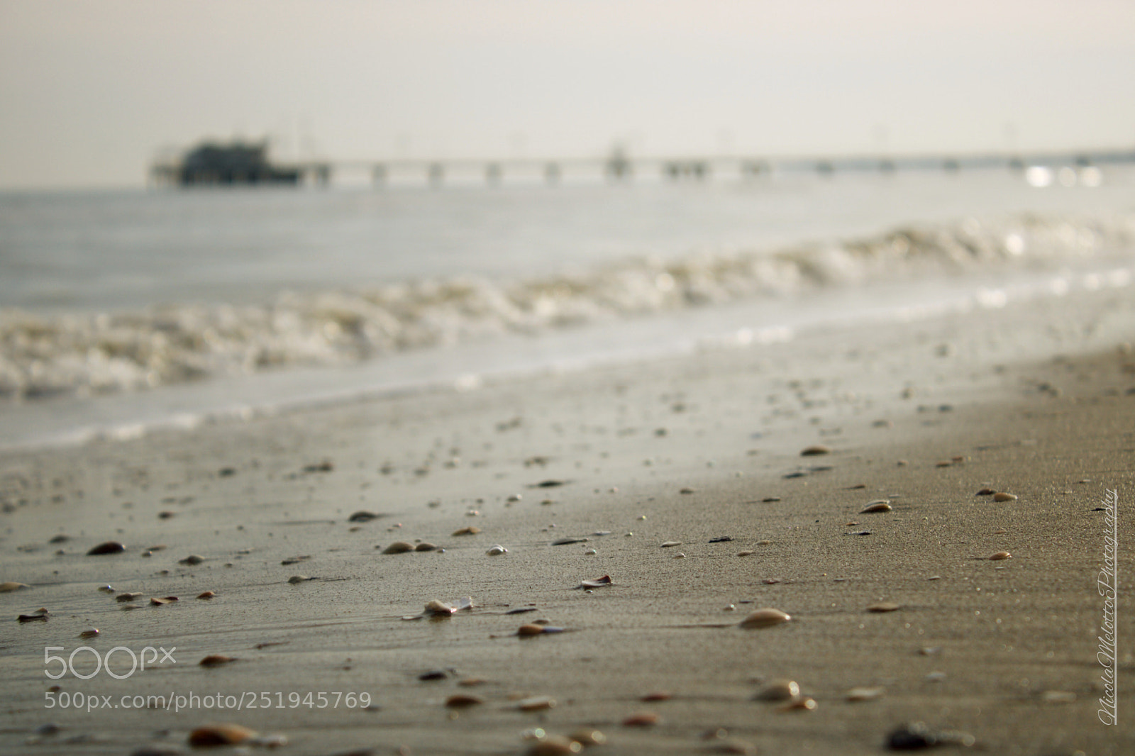 Canon EOS 760D (EOS Rebel T6s / EOS 8000D) sample photo. Sea moment... photography