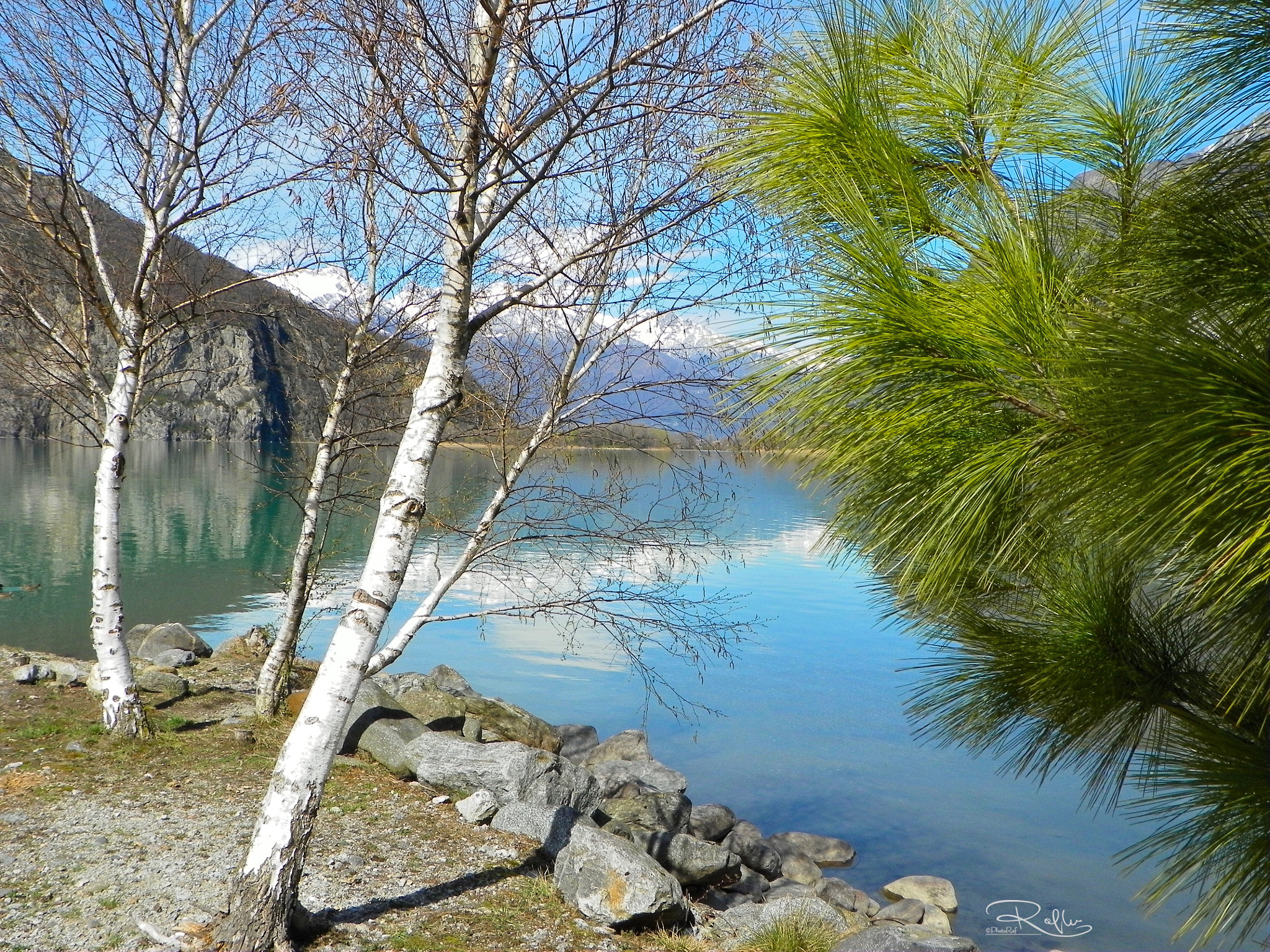 Kodak EasyShare Z981 sample photo. Mezzola lake  photography