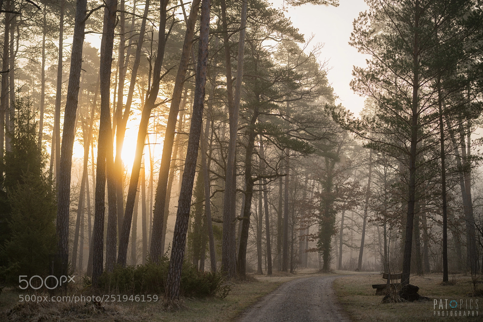 Sony a7R III sample photo. Thurauen1 photography