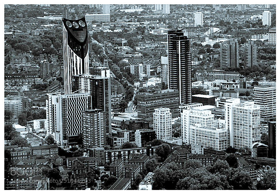 Nikon D80 sample photo. Birdseye london ! photography