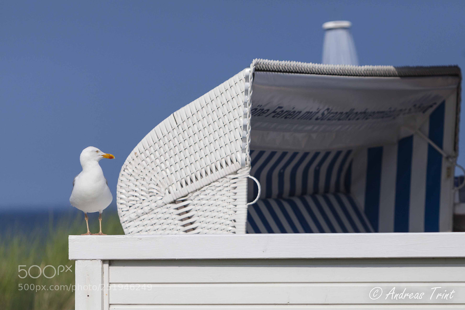 Canon EOS 5D Mark II sample photo. Mg photography