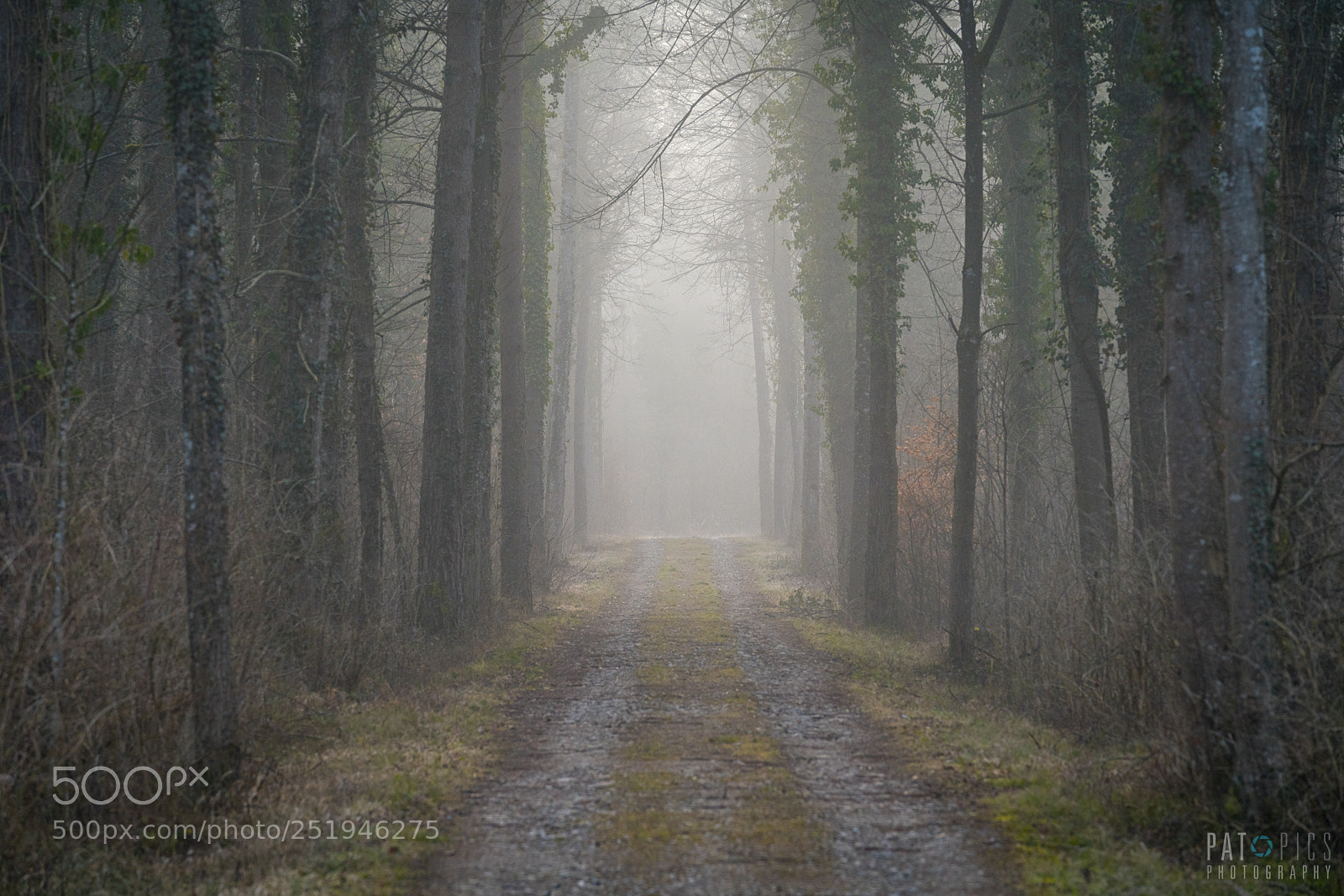 Sony a7R III sample photo. Thurauen2 photography