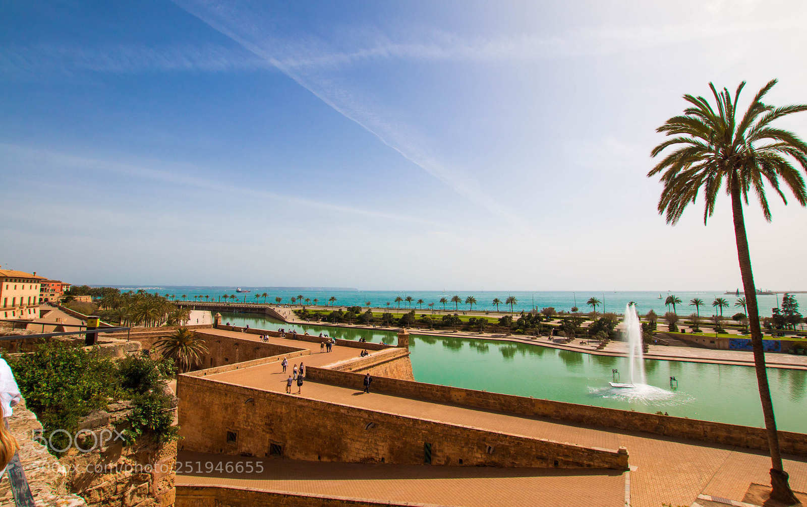 Canon EOS 70D sample photo. Palma photography