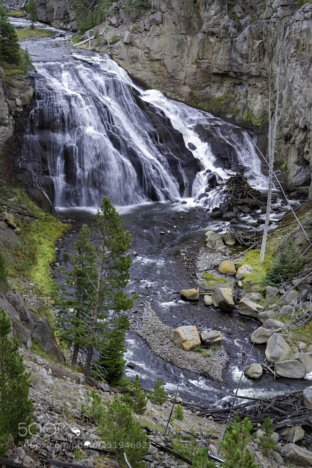 Nikon D800 sample photo. Gibbon falls photography