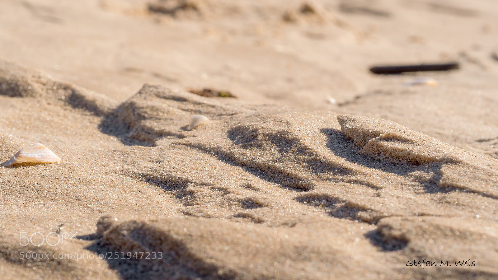 Olympus OM-D E-M10 II sample photo. Sand... photography