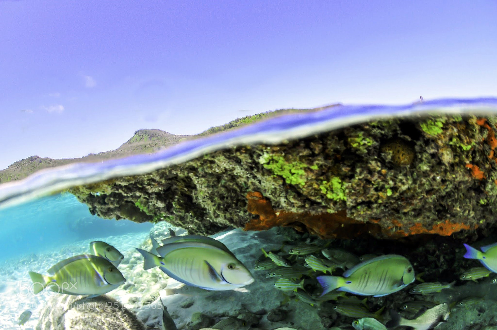 Nikon D300 sample photo. Noronha, fantastico photography