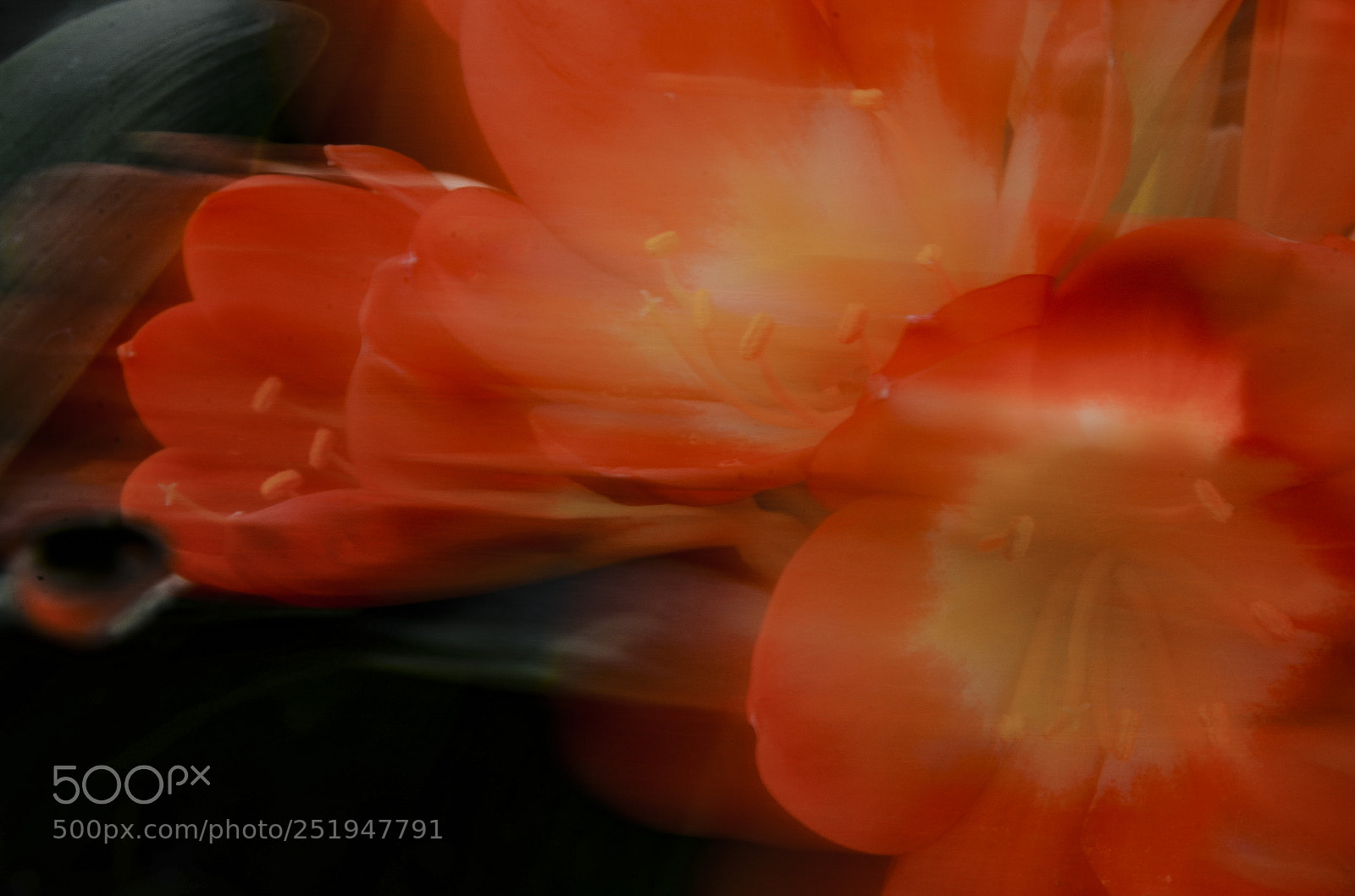 Nikon D7000 sample photo. Dreams-cape photography