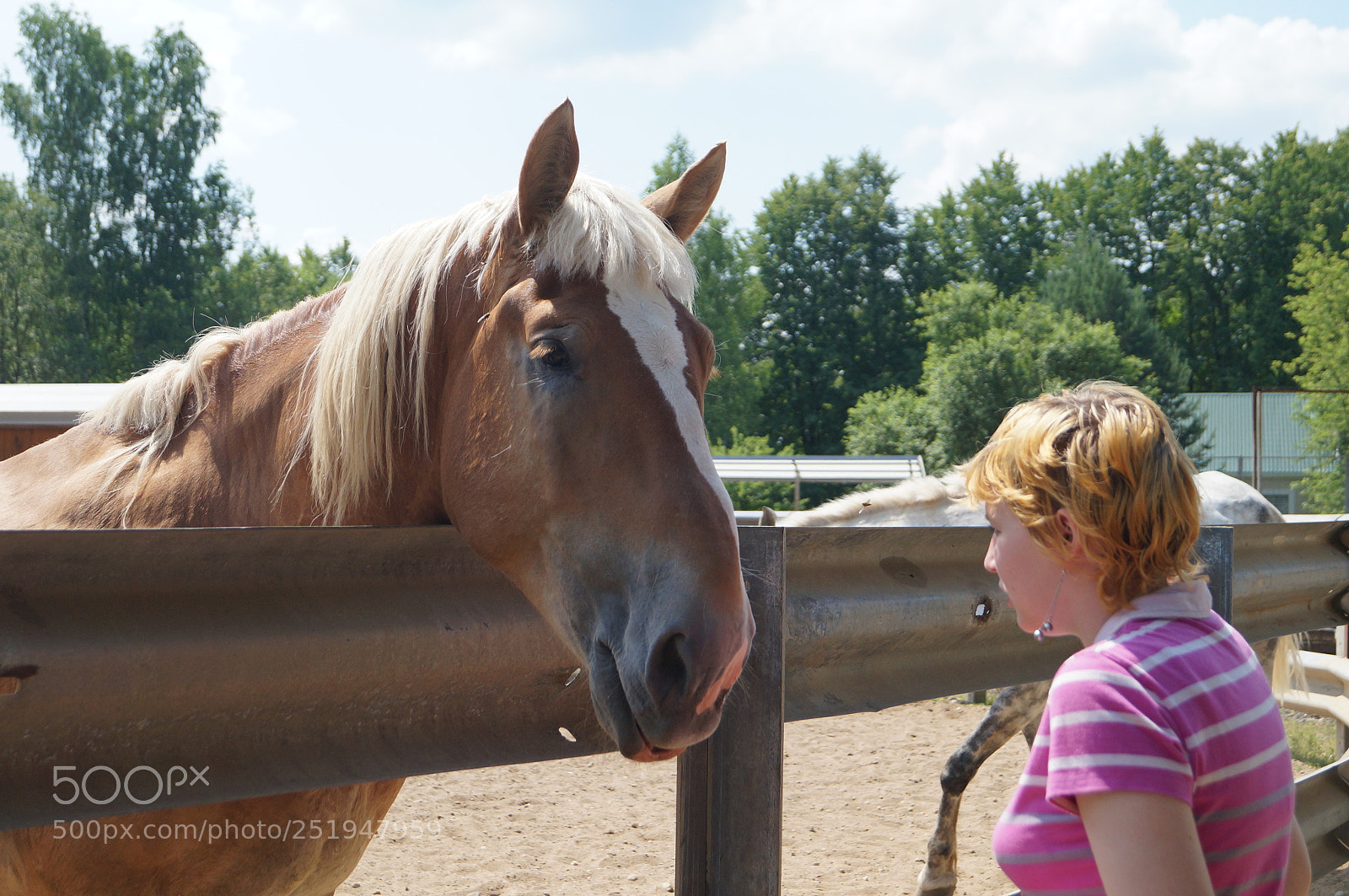 Sony SLT-A57 sample photo. Untitled photography