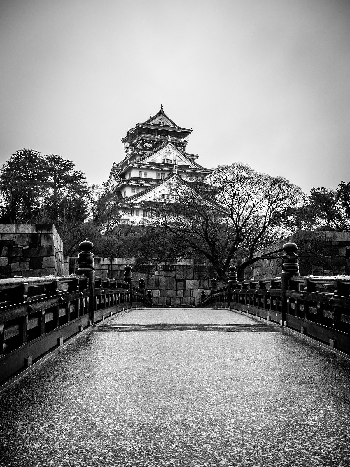 Olympus OM-D E-M10 sample photo. Osaka castle photography