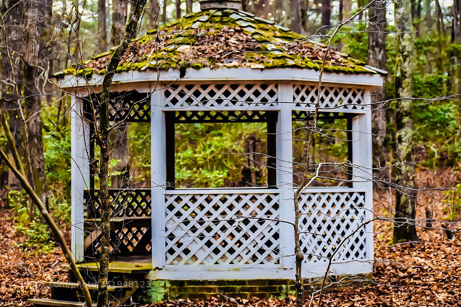 Nikon D5600 sample photo. Gathering space photography